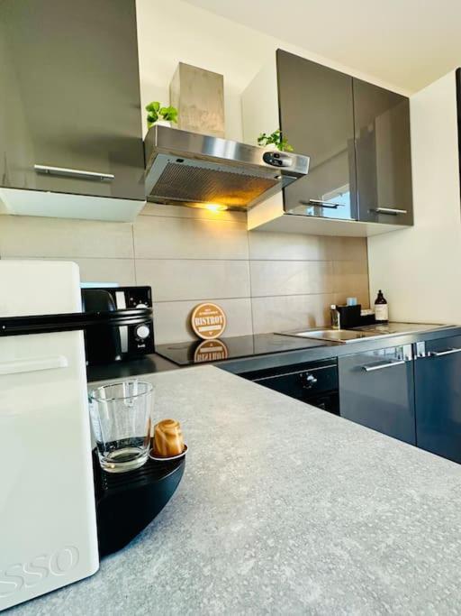 Appartement Le S - 6 Personnes Disneyland Et Paris 세리스 외부 사진