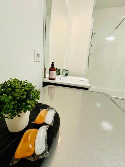 Appartement Le S - 6 Personnes Disneyland Et Paris 세리스 외부 사진